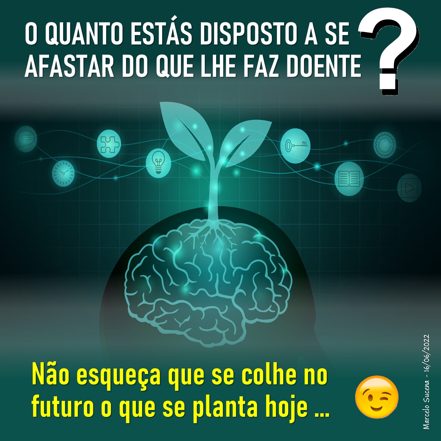 Cuidado ao plantar as suas sementes, Marcelo Romano - Pensador